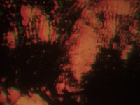 ZUR instantane angers -97003